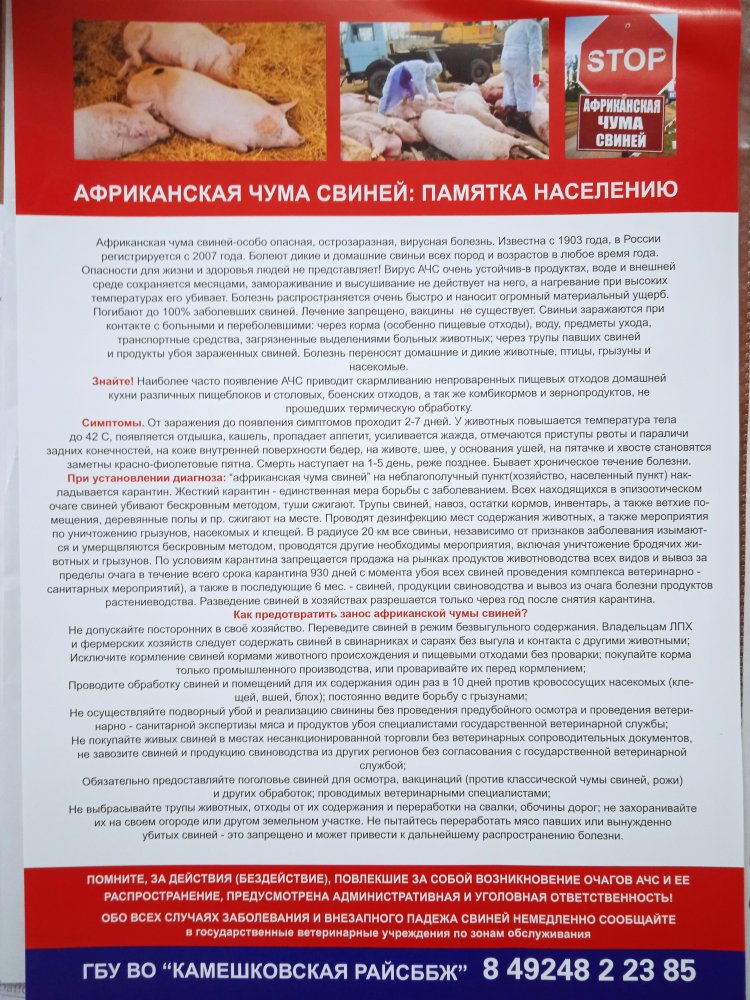 ПАМЯТКА ДЛЯ НАСЕЛЕНИЯ ﻿МЕРЫ ПО ПРОФИЛАКТИКЕ ГРИППА ПТИЦ